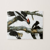 Aububon's Ivory-bult Woodpecker in Ash Tree Legpuzzel (Horizontaal)
