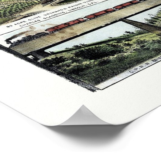 Auburn, CA Panoramic Map - 1887 Poster (Hoek)