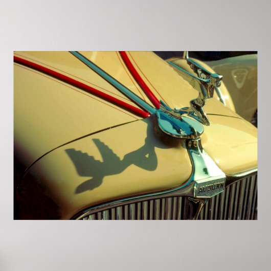Auburn Speedster radiator ornament Poster (Voorkant)