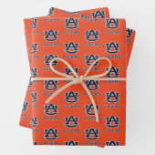 Auburn University | Auburn Inpakpapier Vel (In situ)