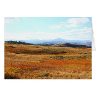 Auburn Yellowstone: platteland