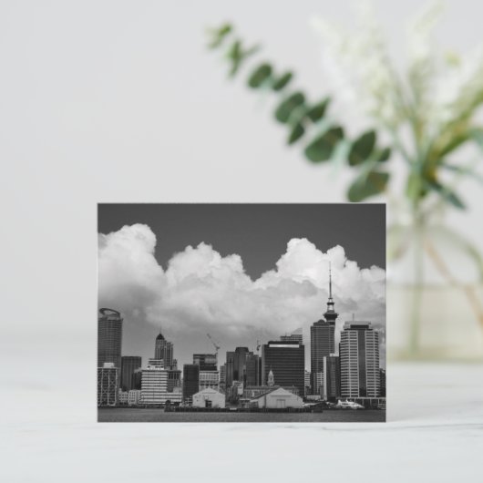 Auckland Kaarten (Staand voorkant)