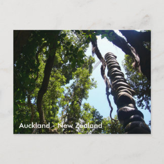 Auckland Post-kaart Briefkaart