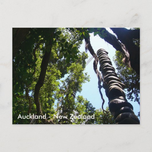 Auckland Post-kaart Briefkaart (Voorkant)