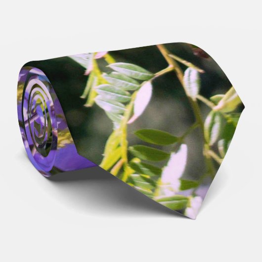 Auckland's Paarse Prinses Boom Stropdas (Opgerold)