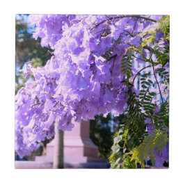 Auckland's Paarse prinses Tree Decoratieve Tegels Tegeltje