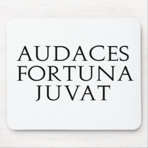 Audaces Fortuna Juvat Muismat