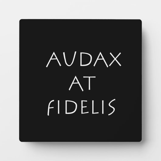 Audax bij fidelis fotoplaat (Voorkant)