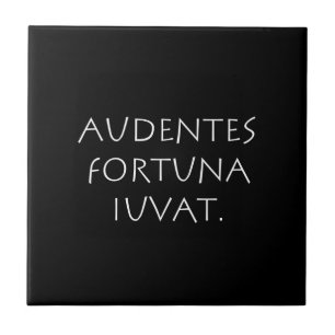 Audentes fortua iuvat tegeltje