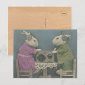 Audiophile Bunnies Briefkaart (Voorkant / Achterkant)
