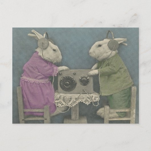 Audiophile Bunnies Briefkaart (Voorkant)