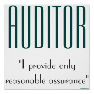 "Auditor: ik geef alleen een redelijke zekerheid" Poster
