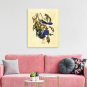 Audobon - Florida Gaai Canvas Afdruk (Insitu (Woonkamer))