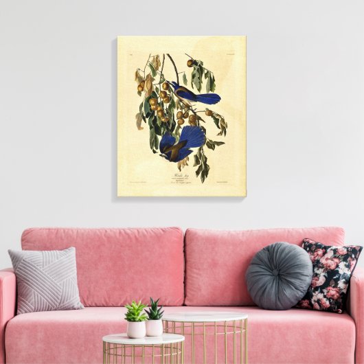 Audobon - Florida Gaai Canvas Afdruk (Insitu (Woonkamer))