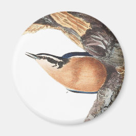 Audobon roodborst Nuthatch Magneet