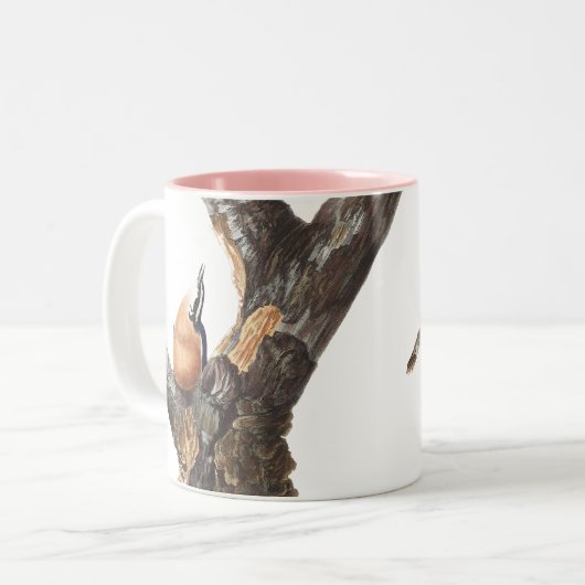 Audobon roodborst Nuthatch Tweekleurige Koffiemok (Voorkant links)