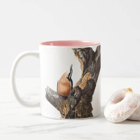 Audobon roodborst Nuthatch Tweekleurige Koffiemok (Met donut)