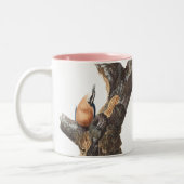 Audobon roodborst Nuthatch Tweekleurige Koffiemok (Links)