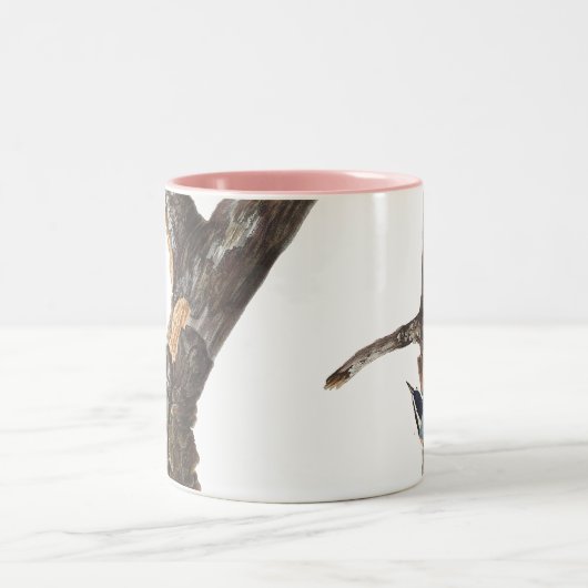 Audobon roodborst Nuthatch Tweekleurige Koffiemok (Center)