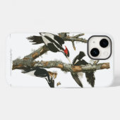 Audobon uitgestorven ivoren specht Case-Mate iPhone case (Achterkant (horizontaal))