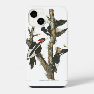 Audobon uitgestorven ivoren specht iPhone 14 hoesje