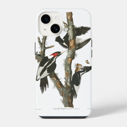 Audobon Uitgestorven Ivory-Billed Specht iPhone Hoesje (Achterkant)