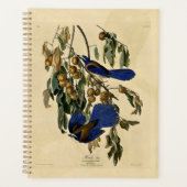 Audobon - Vlaamse gaai Planner (Voorkant)