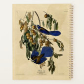 Audobon - Vlaamse gaai Planner (Achterkant)