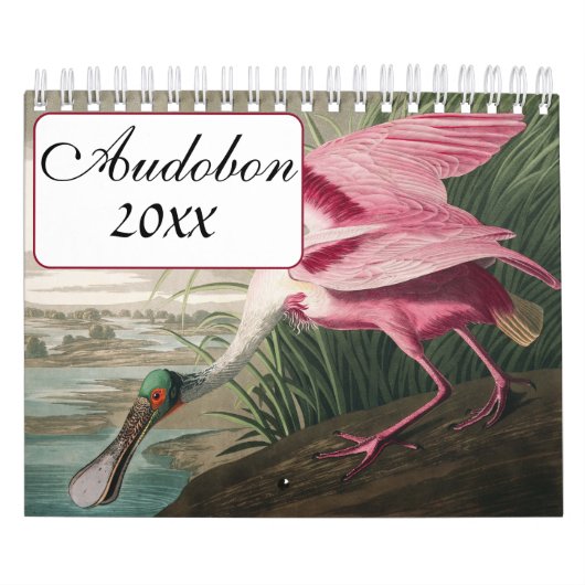 Audobon Vogelkalender Kalender (Hoes)