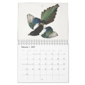 Audobon Vogelkalender Kalender (Feb 2027)