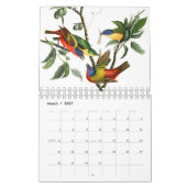 Audobon Vogelkalender Kalender (Mar 2027)