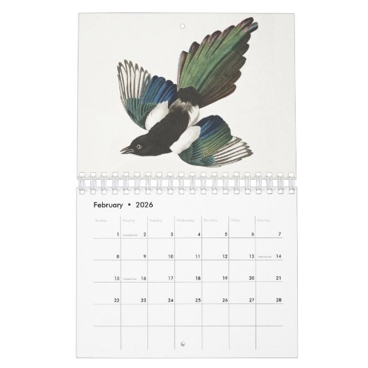 Audobon Vogelkalender Kalender (Feb 2026)