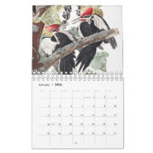 Audobon Vogelkalender Kalender (Jan 2026)