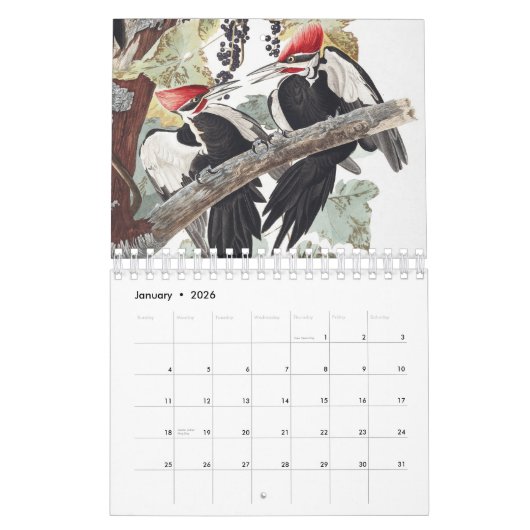 Audobon Vogelkalender Kalender (Jan 2026)
