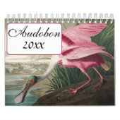 Audobon Vogelkalender Kalender (Hoes)