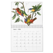 Audobon Vogelkalender Kalender (Mar 2026)
