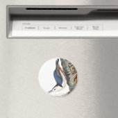 Audobon White-Breasted Nuthatch (zwart afgedekt) Magneet (Insitu (Vaatwasser))