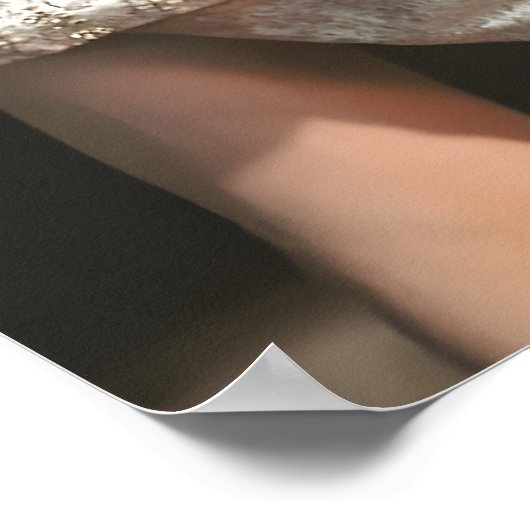 Audrey Hepburn –  Hollywood-icoon Poster (Hoek)