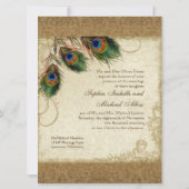 Audrey Jeanne Peacock & Feathers  Damask Kaart (Achterkant)