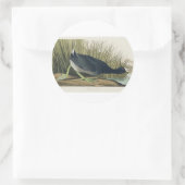Audubon American Coot from Birds of America Ronde Sticker (Tas)