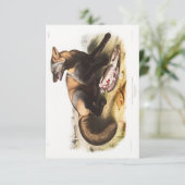 Audubon American Cross-Fox Portret Kaart (Staand voorkant)