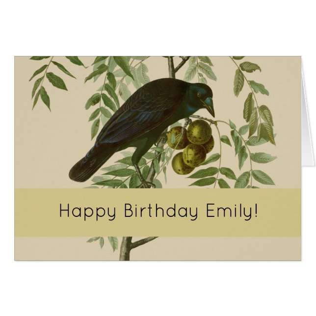 Audubon American Crow Black Bird (Voorkant Horizontaal)