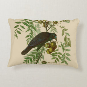 Audubon American Crow Black Bird Accent Kussen