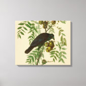 Audubon American Crow Black Bird Canvas Afdruk (Voorkant)