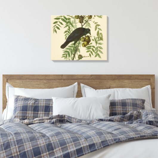Audubon American Crow Black Bird Canvas Afdruk (Insitu (Slaapkamer))