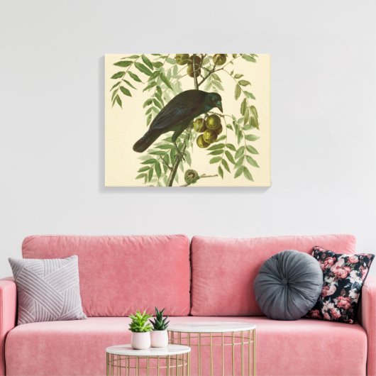 Audubon American Crow Black Bird Canvas Afdruk (Insitu (Woonkamer))