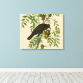 Audubon American Crow Black Bird Canvas Afdruk (Insitu (Houten vloer))