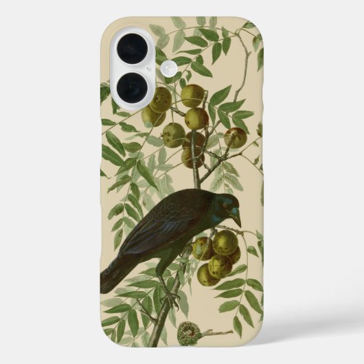 Audubon American Crow Black Bird Case-Mate iPhone Case (Achterkant)
