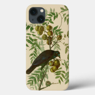 Audubon American Crow Black Bird Case-Mate iPhone Case