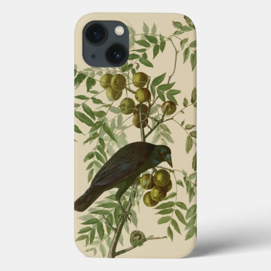 Audubon American Crow Black Bird Case-Mate iPhone Case (Achterkant)